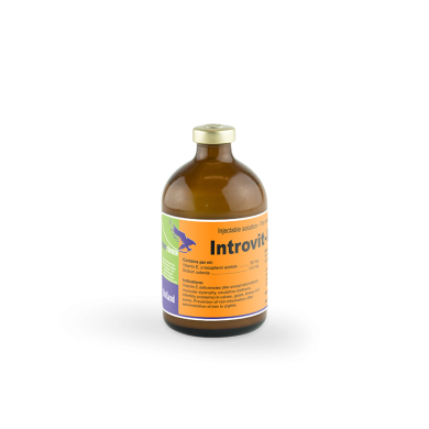 Интровит Е-селен ин. (100 мл) (Interchemie) в Витамины и пищевые добавки.