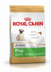 PUG Junior Royal Canin (Роял Канин) Мопс до 10 месяцев 0,5 кг (Royal Canin) в Сухой корм для собак.