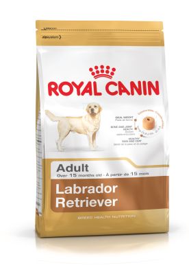 Labrador Retriever Adult Royal Canin (Роял Канин) Лабрадор ретривер старше 15 місяців 3 кг (Royal Canin) в Сухий корм для собак.