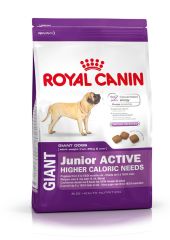 Giant Junior Active Royal Canin сухой корм для щенков собак очень крупных размеров с высокими энергетическими потребностями  (Royal Canin) в Сухой корм для собак.