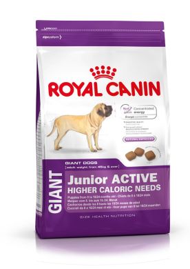 Giant Junior Active Royal Canin сухой корм для щенков собак очень крупных размеров с высокими энергетическими потребностями Giant Junior Active Royal Canin сухой корм для щенков собак очень крупных размеров с высокими энергетическими потребностями (Royal Canin) в Сухой корм для собак.