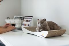 Когтеточка-лежанка Dream 101004 () в Домики, Будки, Лежаки.