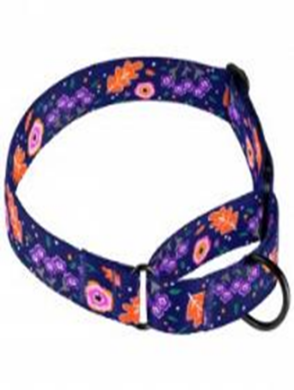 Ошейник Мартингейл BronzeDog Urban Цветы Нейлоновый c Металлической Фурнитурой Синий, Размер L, Обхват шеи 48-61 см, Ширина 3,8 см. (Bronzedog) в Амуниция для собак.