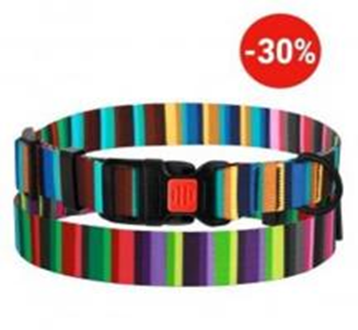 Ошейник BronzeDog Urban Полоска Нейлоновый с Пластиковой Пряжкой Разноцветный, Размер M, Обхват шеи 30-40 см, Ширина 2 см. (Bronzedog) в Амуниция для собак.