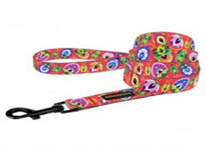 Поводок BronzeDog Urban Folk Нейлоновый Коралловый, Размер L, Длина 152 см, Ширина 2,5 см. (Bronzedog) в Амуниция для собак.