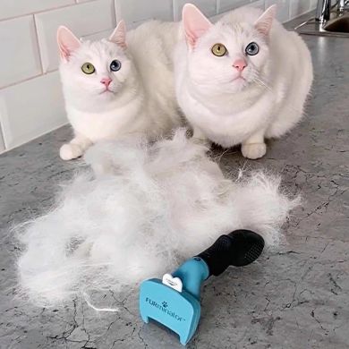 FURminator Фурмінатор 46 * 5 мм з Кнопкою для котів, коротка шерсть, фіолетовий