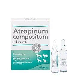 Хель Атропинум композитум 5 амп () в Анальгезирующие, седативные, спазмолитики.