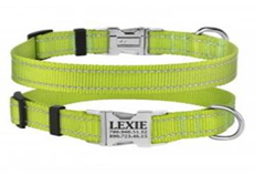 Ошейник BronzeDog Active Нейлоновый со Светоотражением и Металлической Пряжкой Салатовый, Размер XL, Обхват шеи 43-66 см., Ширина 2,5 см. (Bronzedog) в Амуниция для собак.