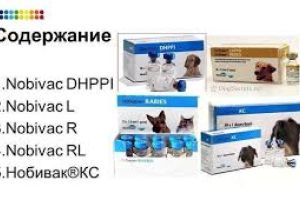 Ціни на вакцини для собак виробництва компанії МСД на 04.10.2020