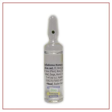 Беладонна Гомаккорд Хеель 5 мл, 5 амп. () в Настоянки, відвари, екстракти, гомеопатія  .