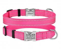 Ошейник BronzeDog Active Нейлоновый со Светоотражением и Металлической Пряжкой Розовый, Размер M, Обхват шеи 30-40 см., Ширина 2 см. (Bronzedog) в Амуниция для собак.